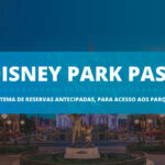 Disney Park Pass